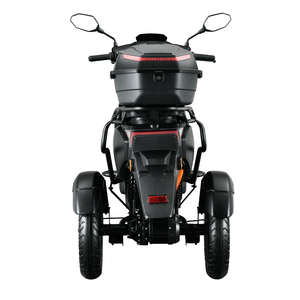 Scooter Eléctrico de Tres Ruedas de Aleación de Aluminio Euro5 EEC Coc, Motor sin Escobillas de 1000W, Batería de Litio, Control Remoto - Product Image 6