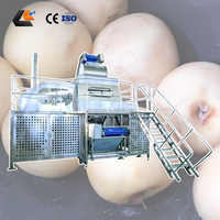 1-20T/H Hoge Productiviteit Stoomschilmachine voor Knoflook, Fruit & Groenten (Perzik, Appel, Banaan)