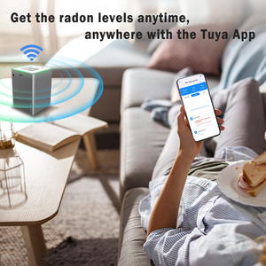 Korean Imported Sensor Home <strong>Radon</strong> Monitor Pulse Ion Chamber LCD Screen Tester for Air Soil Water Bq/m3 Pci/l - Product Image 3