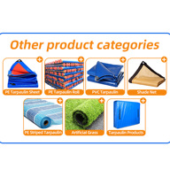 Rouleau de bâche en PE bleu argenté standard Million, bâche en plastique tissé imperméable pour couverture extérieure
