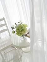 En el extranjero Spot Stock al por mayor decoración de la boda cortinas de gasa Color sólido Semi transparente sala de estar dormitorio ventanas suave