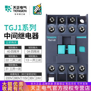 Tengen Tgj1 22 Ac Intermediate Relay 74x73x45mm Industrial Use - Product Image 5