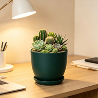 Jardinières d'intérieur modernes en plastique de 3,9 pouces, ensemble décoratif pour la maison et le jardin, pots à fleurs, conteneurs pour plantes d'intérieur
