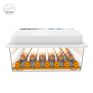 Offre Spéciale automatique <span class=keywords><strong>de</strong></span> poulet et <span class=keywords><strong>de</strong></span> canard incubateur d'oeufs incubateur d'oeufs <span class=keywords><strong>de</strong></span> perroquet entièrement automatique pour les oeufs <span class=keywords><strong>de</strong></span> <span class=keywords><strong>faisan</strong></span> - Product Image 6