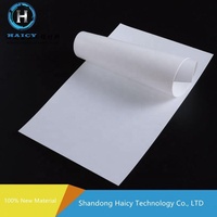 Feuilles de moule de 0.5mm Plaque de feuille de Ptfe expansée
