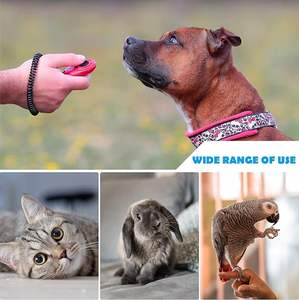 Clicker d'entraînement pour animaux de compagnie multicolore en gros direct d'usine avec dragonne-clicker d'entraînement pour chien - Product Image 4