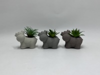 Pot de fleurs en ciment écologique, décoratif, carré, pour balcon, paysage, utilisation au sol, plante succulente, mignon