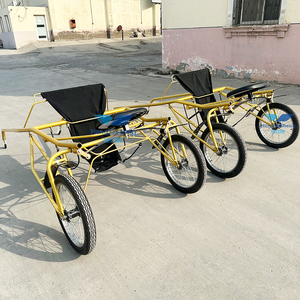 Charrette de concours pour poney Marathon, verte, en acier, à 2 roues, du fabricant chinois, à vendre - Product Image 1