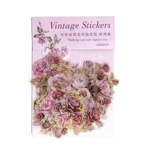20 pezzi/pacco Pet Sticker Bag e Flower Telling Series Flowers Hand Account Collage Journal materiali per la decorazione in 6 tipi