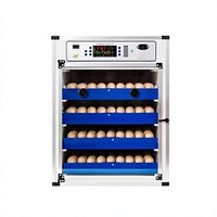 Petite couveuse automatique domestique, machine d'incubation intelligente pour volailles avec garantie de 3 mois