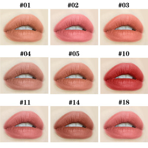 ลิปสติกเนื้อแมทออร์แกนิคกันน้ำติดทนนาน 5 กรัม รับผลิตแบรนด์ส่วนตัว 48 สี เนื้อกำมะหยี่ วีแกน แฟชั่น จัดส่งฟรี - Product Image 3