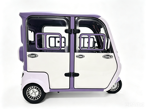 Triciclo Eléctrico Cerrado Personalizado para Pescadores, Suministro Directo de Fábrica, Gran Autonomía y Amplio Espacio de Almacenamiento para Transporte Diario Familiar - Product Image 3