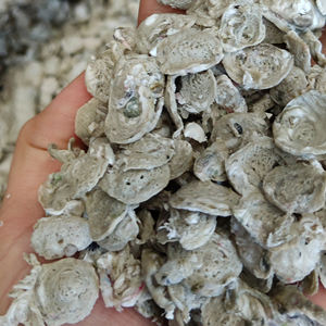 Presse à film <span class=keywords><strong>plastique</strong></span> Sevenstars PP PE, machine à presser le film <span class=keywords><strong>plastique</strong></span> lavé, machine de recyclage, sécheuse, presse à <span class=keywords><strong>plastique</strong></span> - Product Image 4