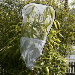 Toptan şube böcek yaprak kafes şube kafes özelleştirilmiş böcek kafes bahçe bitki meyve koruyucu çanta kapakları - Product Image 3