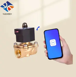 Wifi thông minh điều khiển từ xa các van trên điện thoại di động wifi Brass solenoid van nước van