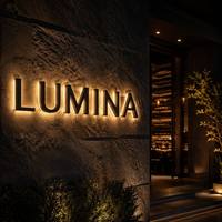 Letrero de Canal Luminoso LED 3D de Acero Inoxidable Cepillado de Alta Calidad GFace, Letras Metálicas Impermeables IP65 para Logotipo de Coche u Oficina