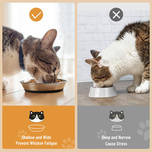 Assiettes à vaisselle pour <span class=keywords><strong>chat</strong></span> antidérapantes peu profondes pour petits chiens chiots bols pour chats bols pour chats en acier inoxydable pour nourriture et eau - Product Image 3