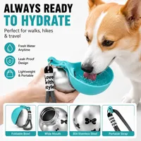 Bouteille d'eau 2 en 1 pour chien et chat en acier inoxydable avec bol en silicone pliable surélevé, anti-fuite, pour la marche en plein air, la randonnée, les voyages