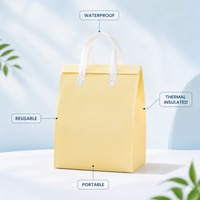 Sac isotherme non tissé personnalisé Heepack avec logo, sac à emporter jetable pour la livraison de thé au lait