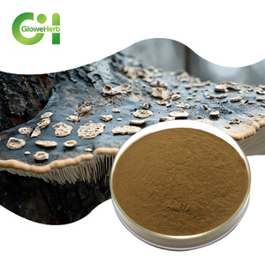 뜨거운 판매 공장 공급 천연 차가 버섯 분말 차가 추출물 분말 50% 다당류 - Product Image 1