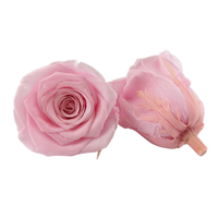 Groothandel 5-6 cm decoratieve eeuwige rozen, langdurig geconserveerde echte natuurlijke bloemknoppen