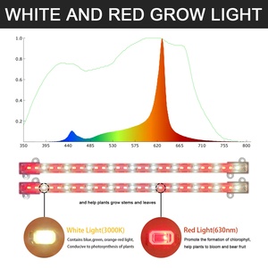 Liweida 2025 60 LEDs plante ống với màu đỏ trắng thay đổi độ sáng và thời gian hai dải đầu USB sạc LED phát triển ánh sáng trong dải - Product Image 2