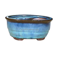 Plantes de pépinière, pots de culture pour bonsaï, pots en céramique pour bonsaï