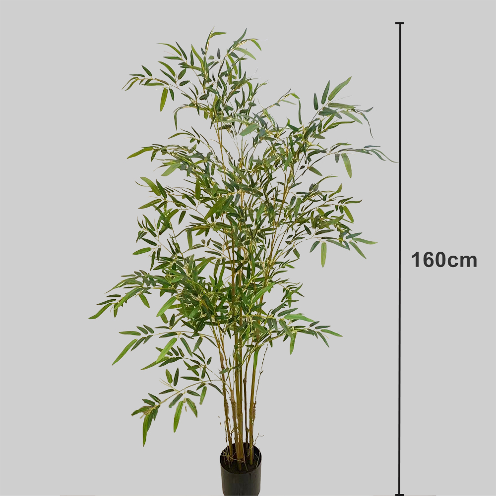 golden-160cm