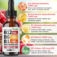 OEM Tout-en-1 Complexe de Vitamine B Gouttes Liquide Soutien Immunitaire et Stimulation d'Énergie Suppléments Sublinguaux pour Adultes Vitamine B12 + B6 + B1