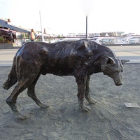 Nouvelle conception 2025 Vente chaude Sculpture de loup en bronze coulé Taille réelle Haute qualité