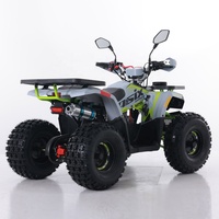 Tao Motor 2024 nouveau ATV 125 pas cher chinois automatique chaîne entraînement ferme ATV 125cc ATV