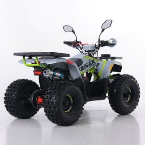 Tao Motor 2024 nouveau ATV <span class=keywords><strong>125</strong></span> pas cher <span class=keywords><strong>chinois</strong></span> automatique chaîne entraînement ferme ATV 125cc ATV - Product Image 3