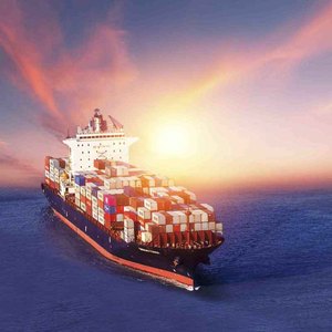 Rápido y asequible FCL Container DDP DDU Envío a Canadá <span class=keywords><strong>Vancouver</strong></span> Montreal Halifax Prince Flete marítimo Flete - Product Image 6