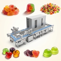Productielijn voor CST gelatine, pectine, carrageen en gummy snoepjes voor een vitamine gummy fabriek