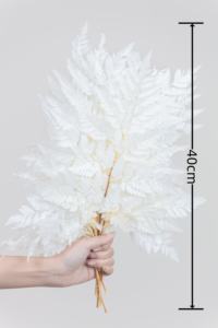 Decoración DE BODA preservada hoja de helecho de montaña floristería accesorios Dreid flor Davallia Mariesii - Product Image 2