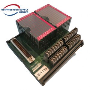Conjunto de Terminación Original Foxboro P0916BT de 16 Canales 4-20mA para la Serie FBM211 I/A - Product Image 3