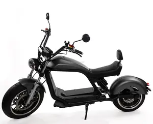 Popular HL6.0 EEC Scoters Electric 2000w Adult High Quality Scooter Electric Motor Citycoco