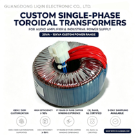 Transformateur de puissance toroïdal monophasé personnalisé 50/60Hz 50W-5000W à noyau en cuivre 240V 9V/5V pour amplificateur audio électronique LQ-920 LIQIN
