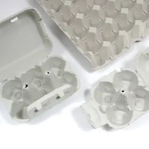 <b>Wood</b> pulp <b>eggs</b> sustainable packaging - Product Image 1
