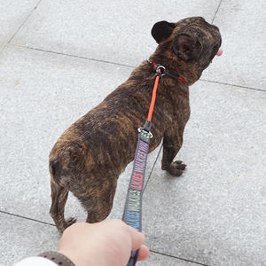 Correa de Nailon para Perros con Decoración de Cinta para Perros Pequeños, Medianos y Grandes para Pasear Cachorros - Product Image 2