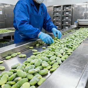 Qualité d'exportation de fèves pelées congelées avec une longue stabilité de stockage disponible en grandes quantités - Product Image 6