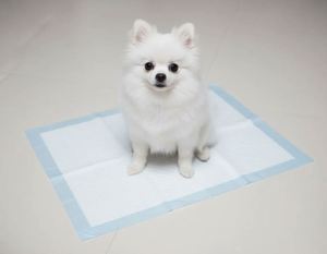Custom Wholesale Dog Pee <b>Pads</b> Disposable New Puppy <b>Pads</b> Disposable Large Pee <b>Pads</b> for Dogs - Product Image 1