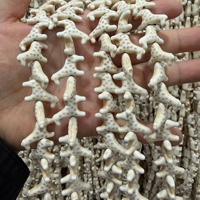 Perles en pierre howlite blanches et turquoise en forme de petits animaux mignons (girafe, tortue, chien, ours, poisson, éléphant) pour la fabrication de bijoux DIY