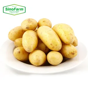 Nuevo Patata fresca Comida amarilla Patatas Verde Agricultura Verduras Venta al por mayor China Shandong