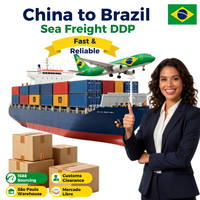 Entreprise de transport de fret professionnel Chine-Brésil, agent maritime DDP, livraison directe, conteneur maritime sec 40/45HQ