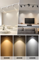 Shenzhen DANS IP65 15W 20W 30W éclairage LED COB de paysage de plafond mini Spot de montage en Surface à suspension étanche