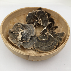 ผงสกัดโพลีแซคคาไรด์30-50% Trametes versicolor - Product Image 2