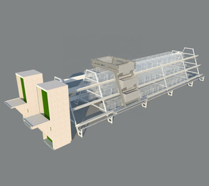 กรงเลี้ยงไก่ไข่อัตโนมัติแบบ A-Frame คุณภาพสูงสำหรับโรงเรือนสัตว์ปีก สภาพใหม่ - Product Image 5