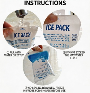 Bolsas de <span class=keywords><strong>Gel</strong></span> <span class=keywords><strong>Refrigerante</strong></span> Autosellables Personalizadas, Bolsas de Congelación Ecológicas de PE para Alimentos Frescos y Envíos - Product Image 2