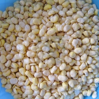 Équipement de pelage humide à haute capacité KLS - Machine industrielle de traitement de l'épluchage des cacahuètes et des haricots